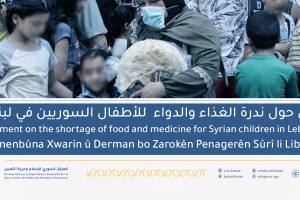 Statement on the shortage of food and medicine for Syrian children in Lebanon